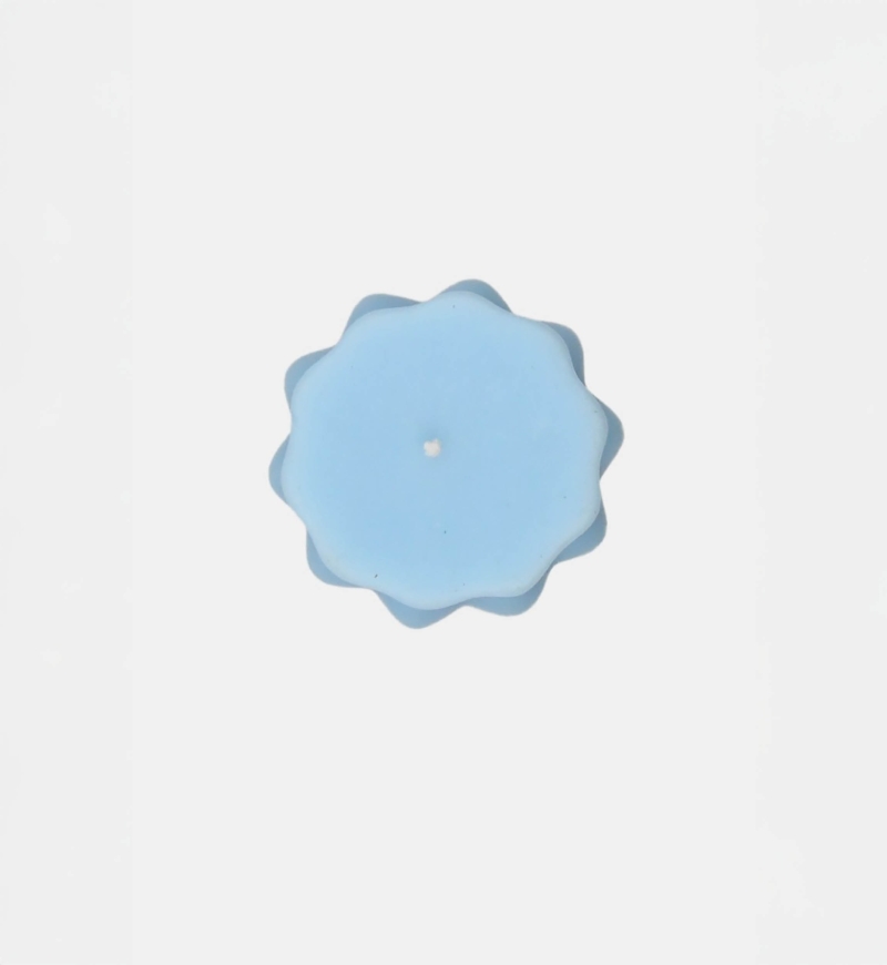 Indoor Candle Why Blooms Don't Speak - Miss June Paris - 11