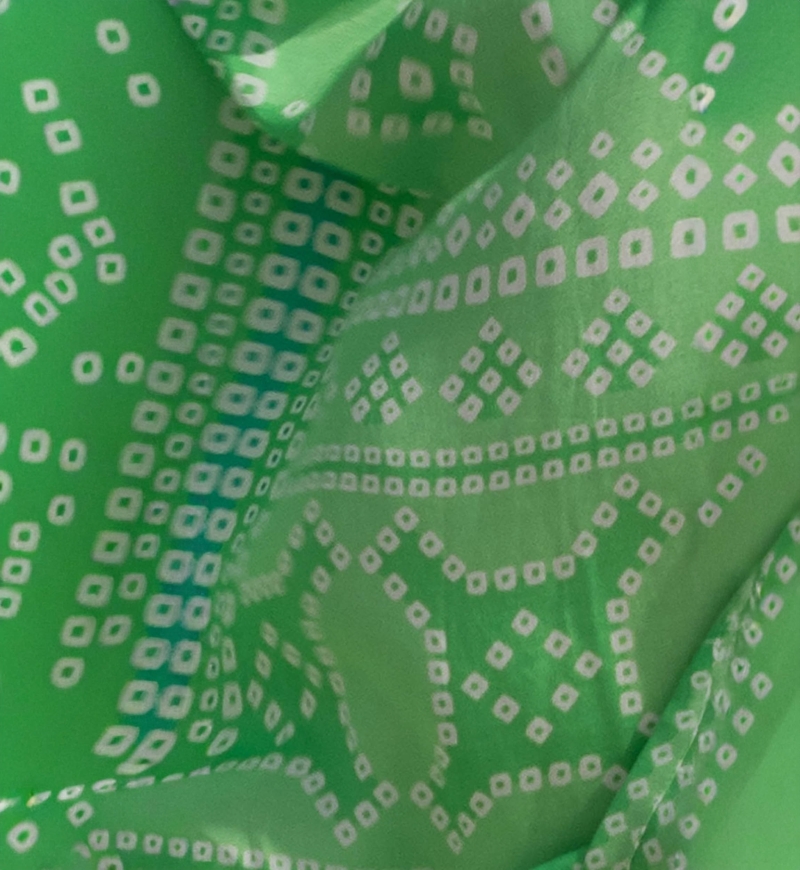 Vestido Longo Jorja - verde - peitilho decorado - mangas longas - boêmio - Miss June Paris - 5